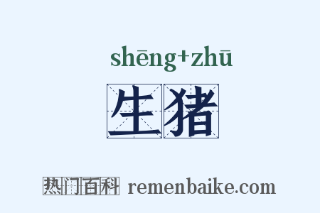 生猪是什么意思的图片